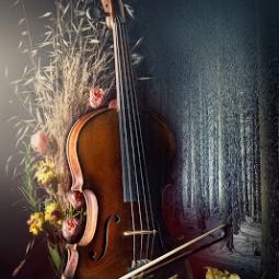 Eva Oriol. Las 4 estaciones de Vivaldi. 3º Puesto. Noviembre 2013