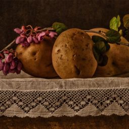 Seleccionada 2015."Potatoes". Arturo-José González Ascaso (Zaragoza)
