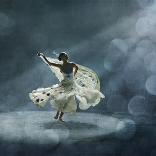 M. Kluger, Primaballerina - 4, Alemania,2012. Mención FIAP
