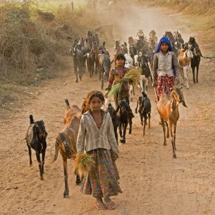 L. Rich. On their way home. Reino Unido. 2012