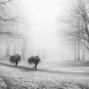 V. Proshin. Mist - 1. Rusia. 2012