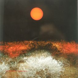 Ángel Duerto Oteo,1990
