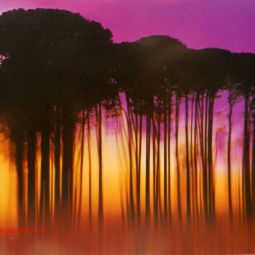 Javier Povar,1990