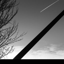 Carlos-Aurelio_Barboza-Grasa_Mirando-al-cielo_03-2020-Tu rincón de Zaragoza