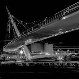 Joaquin_Adan-Peña_Pasarela-delicias--puente-al-futuro_03-2020-Tu rincón de Zaragoza