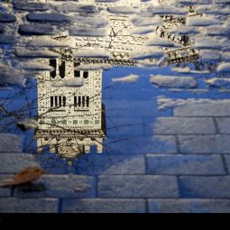Margarita_Delgado-Gracia_Plaza-de-la-Magdalena_03-2020-Tu rincón de Zaragoza