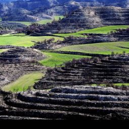 Mariano_Royo-Ambroj_Incendio-en-Los-Monegros_03-2020-Libre