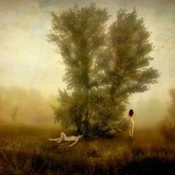 w_accesit LA SIESTA DEL FAUNO_julio Lopez 2019