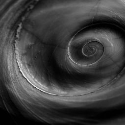 ANTONIO_UBEDA-GUTIERREZ-_ARREMOLINADO_04-2020-Lo abstracto en las cosas cotidianas