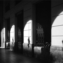 Mariano_Royo-Ambroj_Luces-y-sombras_04-2020-Libre_Accesit