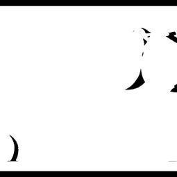 Pedro_Laguna_si-la-vida-te-da-limones_04-2020-Lo abstracto en las cosas cotidianas