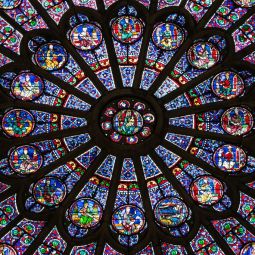Carlos-Aurelio_Barboza-Grasa_Roseton-norte---Notre-Dame-2016_05-2020-Libre