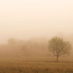 J.-Ignacio_Garcia-Palacin_Atardecer-en-los-campos_05-2020-Libre