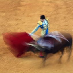 Julio_Sanchez-Millan_el-movimiento-de-la-fiesta-nacional_05-2020-Libre_Accesit