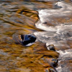 Miguel-Angel_Anson-Manso_Rios-de-otoño_05-2020-Movimiento