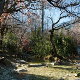 JAVIER_VILLAR-PEREZ_Invierno_01-2020-Libre
