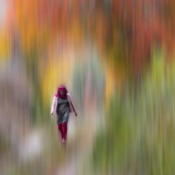 Jose_Pascual-Martinez_Colorido-otoño_01-2020-Libre