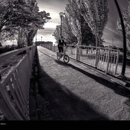 Miguel-Angel_Anson-Manso_Paseo-matinal_06-2020-Libre