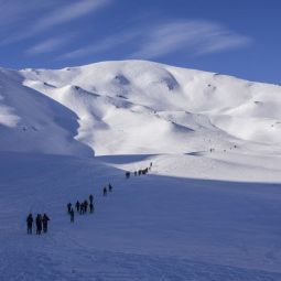 Roberto_Martin-Arranz_HORMIGAS_01-2020-Libre