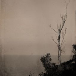 Margarita_Delgado-Gracia_Marina-con-arbol-muerto_07-2020-Emulando a Gustave Le Gray