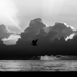 Mariano_Royo-Ambroj_Vuelo-al-amanecer._07-2020-Emulando a Gustave Le Gray