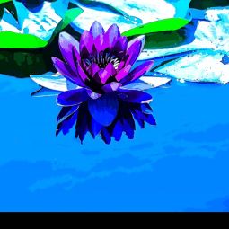 Pedro_Laguna_flor-de-agua_09-2020-Libre