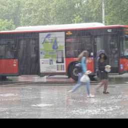 Jose-Luis_Tercero-Moreno_Lluvia-s_phs_10-2020-Lluvia