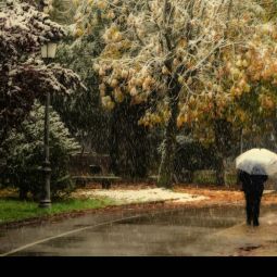 Mariano_Royo-Ambroj_Paseo-en-soledad_10-2020-Lluvia