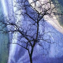 PILAR_GIAMBANCO_Arbol-en-El-Prado_10-2020-Libre