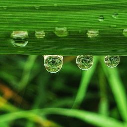 Pedro-Jose_Medrano-Rivases_Tres-gotas_10-2020-Lluvia
