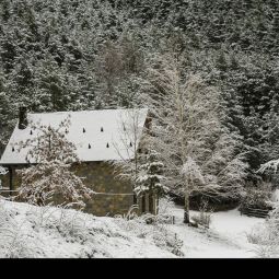 Roberto_Martin-Arranz_INVIERNO_11-2020-Libre