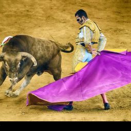 MJ-_Sadaba-Rodrigo_Bravura-taurina-Rescoldito-y-Padilla-Feria-del-Pilar-2016_11-2020-Las fiestas en Aragón_Ganadora-del-mes