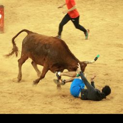 Santiago_Choliz_vaquillas-en-el-Pilar_11-2020-Las fiestas en Aragón