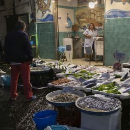 Antonio-Sanchez-Viñeque_MercadoNocturno_01-2021-