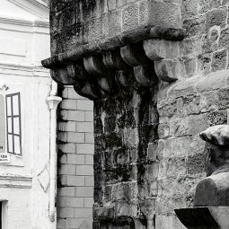 Carlos-Briz-Ponce_Se-quedo-de-piedra_01-2021-