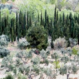 Eduardo-Barcelona-Otal_Paisaje-con-cipreses_01-2021-