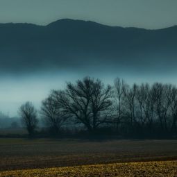 Joaquin-Adan-Peña_Mañanas-con-dorondon_01-2021-