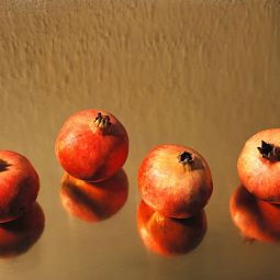 Julio-Sanchez-Millan_frutos_01-2021-