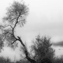 Mariano-Royo-Ambroj_Niebla-en-el-Ebro_01-2021-