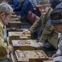 Antonio-Sanchez-Viñeque_Shogi_02-2021-
