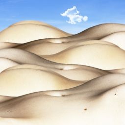 Jesus-Tejel-Gimenez_El-desierto-onirico_03-2021-Surrealismo