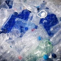 PILAR-GIAMBANCO_Demasiado-plastico-en-la-red_04-2021-