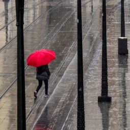 Santiago-Choliz_llueve-en-el-Coso_04-2021-