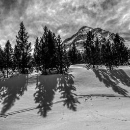VICENTE-BLASCO-BERGUA_Sombras-en-Benasque_04-2021-