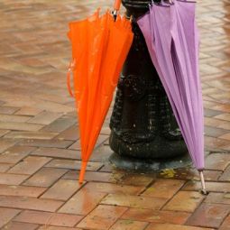 javier-villagrasa_amor-en-la-lluvia_07-2021-libre