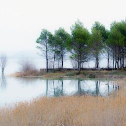Carlos-Briz-Ponce_Reflejos-en-el-lago-5_10-2021-libre