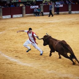 J.-Ignacio-Garcia-Palacin_Vaquilla_10-2021-libre_Accesit