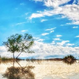 Pedro-Jose-Medrano-Rivases_Horizonte-cercano_10-2021-libre