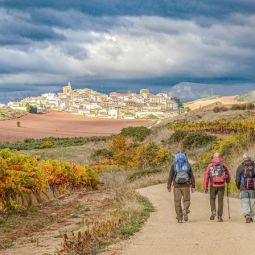 JOAQUIN-CRESPO-RIPOL_Peregrinos_11-2021-Caminos