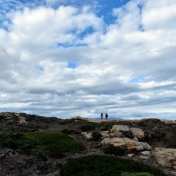 JOSE-MIGUEL--LATASA-YUSTE_Y-detras-el-mar_11-2021-Caminos